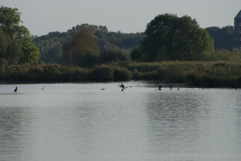 Ecostay De Ijsvogel Kampen Pokój zdjęcie